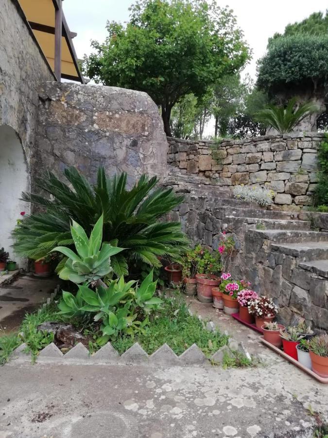 Villa Filomena Монтекориче Екстериор снимка